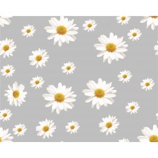 Клеенка 1,37*25м./прозрачный без основы/Deluxe/Китай/Мир клеенки/1/1